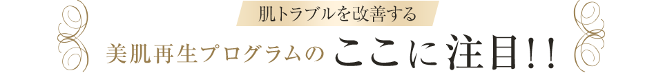 肌トラブルを改善する 美肌再生プログラムのここに注目！！