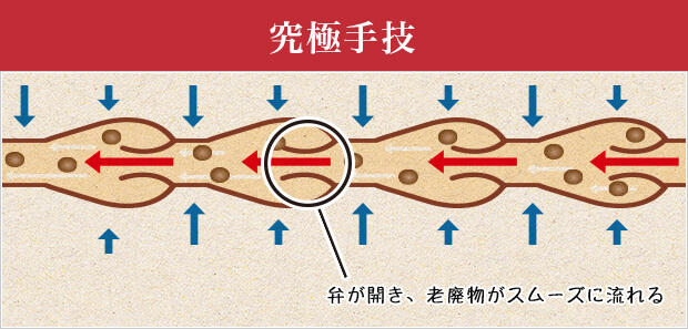 究極手技 → 弁が開き、老廃物がスムーズに流れる