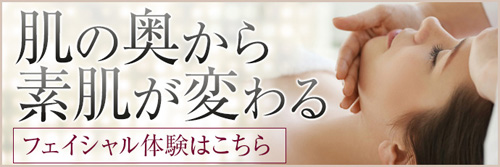 この記事をご覧の方におすすめの体験プラン