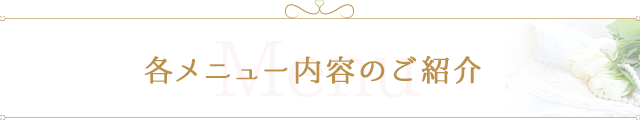 各メニュー内容のご紹介