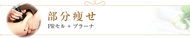 部分痩せ PRセル+プラーナ