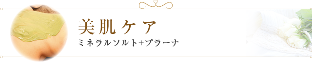 美肌ケア ミネラルソルト+プラーナ