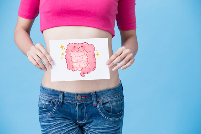 女性が胃腸のイラストを持っている画像